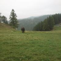 , Paweł Gąsiorek