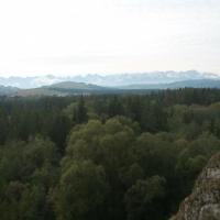 , Paweł Gąsiorek