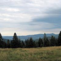 , Roman Świątkowski