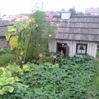 , Kasia