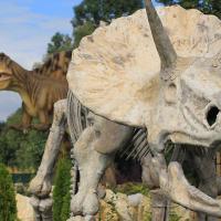 Dinozaury w Ochabach