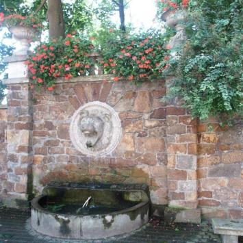 , mokunka