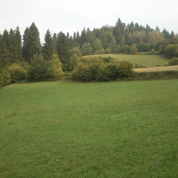 , Paweł Gąsiorek