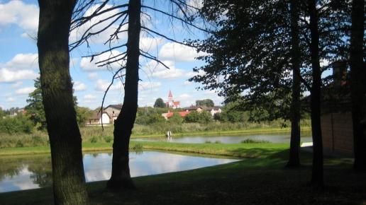 Widok na kościół w Pstrążnej, Halina