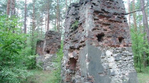 Stara Prochownia Ogrodzieniec, mokunka