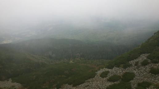 , Paweł Gąsiorek