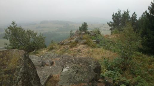 , Paweł Gąsiorek