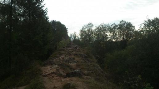 , Paweł Gąsiorek