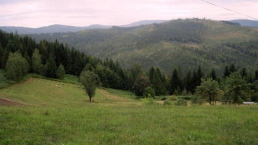 , Roman Świątkowski
