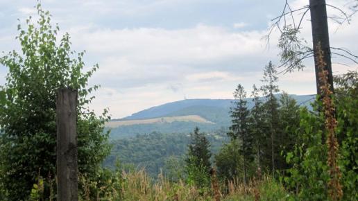 , Roman Świątkowski