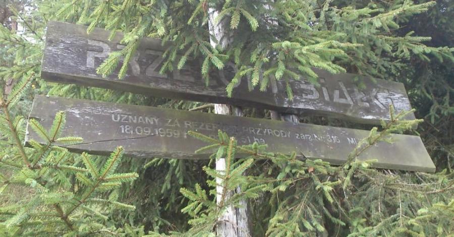 Rezerwat Przełom Białki - zdjęcie