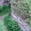 , mokunka