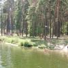 , mokunka