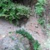 , mokunka