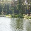 , mokunka