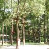 , mokunka