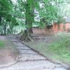mniej zadbany fragmeny , mokunka