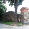 , mokunka