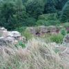 , mokunka