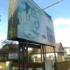 , marian