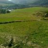 , marian