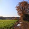 Rezerwat Segiet