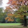 Park w Świerklańcu jesienią