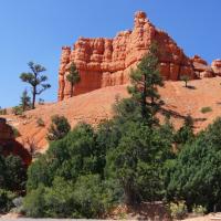 Red Canyon, Małgorzata Bednarczyk