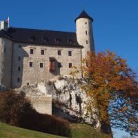 Zamek od strony hotelu, Tadeusz Walkowicz