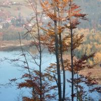 , mokunka