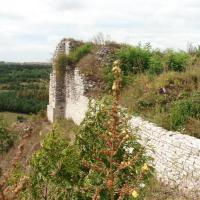 , mokunka