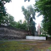 , mokunka