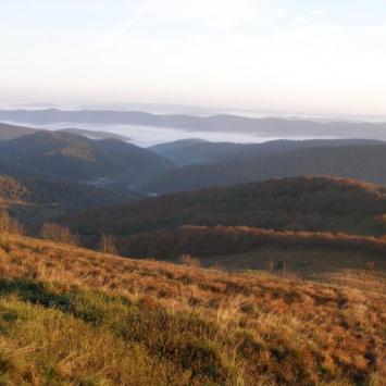 , Krzysztof