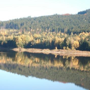 , mokunka