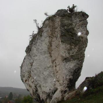 Jura w strugach deszczu czyli niedzielny spacer Mirów- Bobolice - zdjęcie