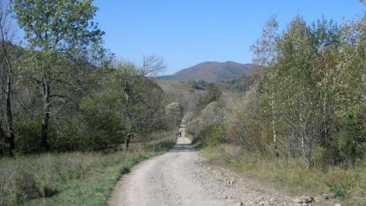 , Krzysztof
