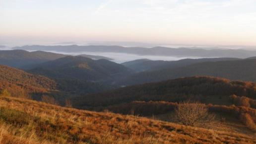 , Krzysztof