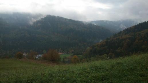 , Paweł Gąsiorek