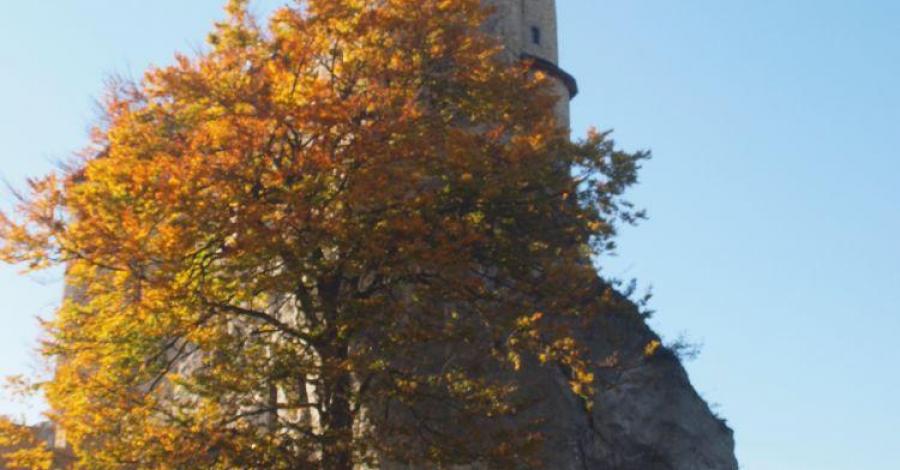 Jesienne Zamki - Mirów i Bobolice - trasa 673. - zdjęcie