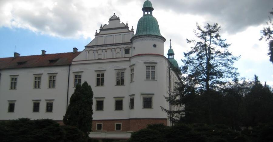 Baranów Sandomierski przejazdem - zdjęcie