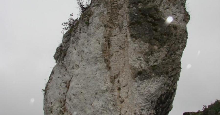 Jura w strugach deszczu czyli niedzielny spacer Mirów- Bobolice - zdjęcie
