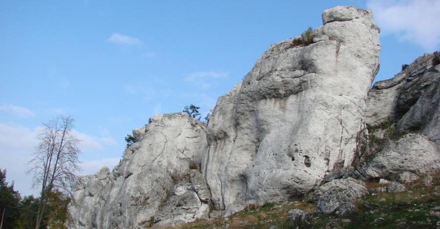 Skałki Rzędkowickie - Góra Zborów czyli moja kolejna niedziela na Jurze - zdjęcie
