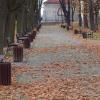 Park Staszica, Tadeusz Walkowicz