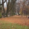 Park Staszica, Tadeusz Walkowicz