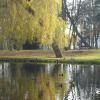Park Staszica - staw, Tadeusz Walkowicz