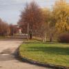 Park Lisiniec, Tadeusz Walkowicz