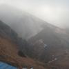 , mokunka