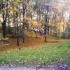 park przy Agrykoli, Rene