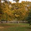 park jesienią, Rene