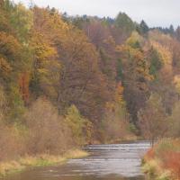 Jesień w Wiśle, Tadeusz Walkowicz